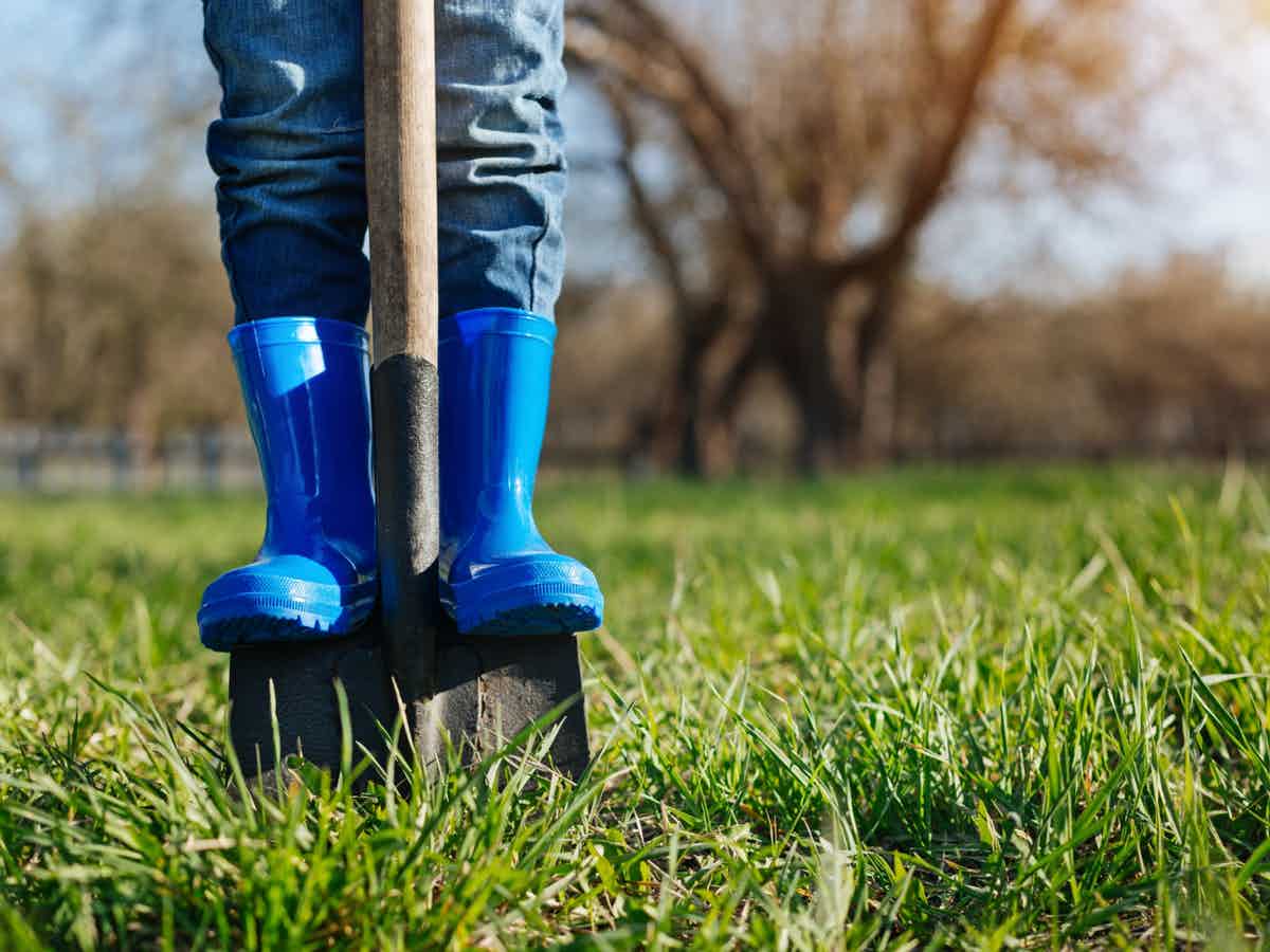 Person in blue jeans and wellies standing on spade in the grassy ground
