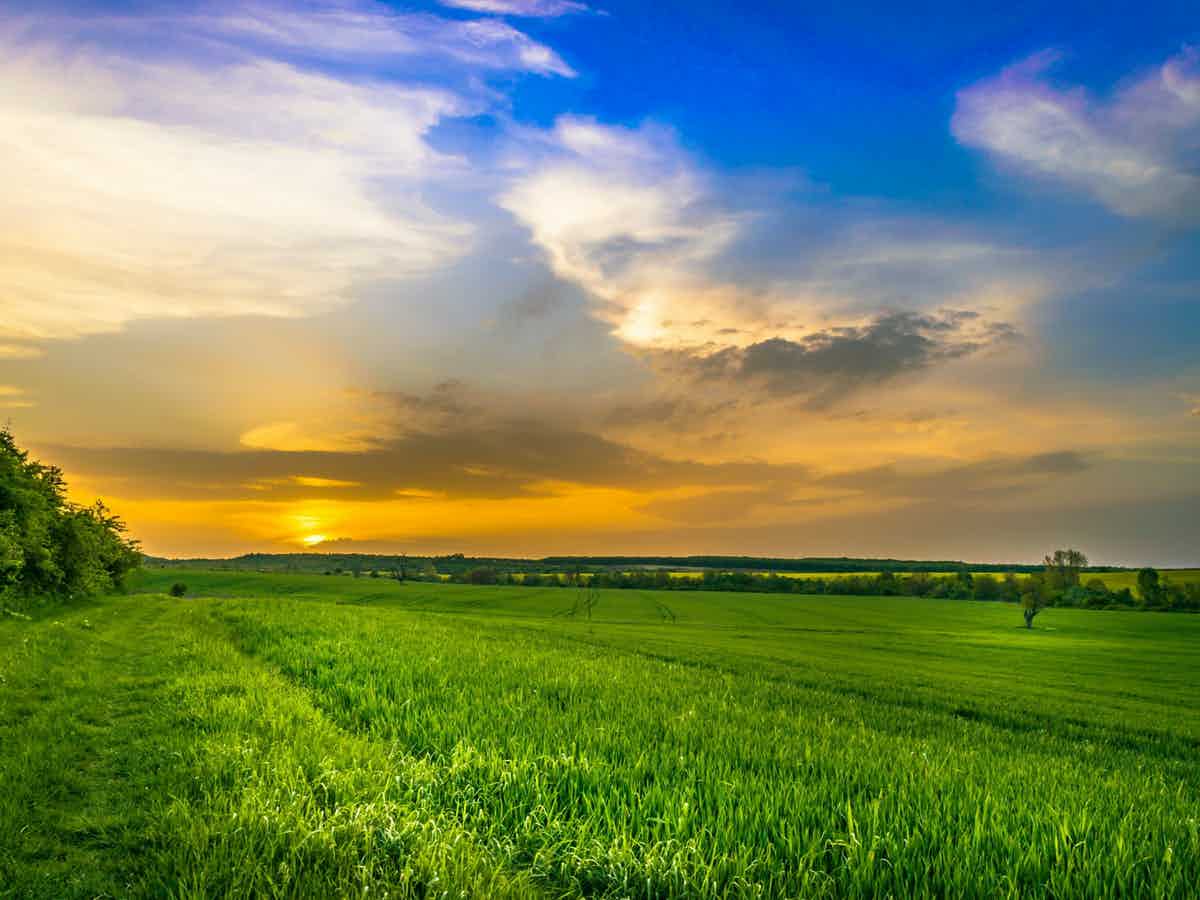 Stunning sunset scene of green field and beautiful sunset
