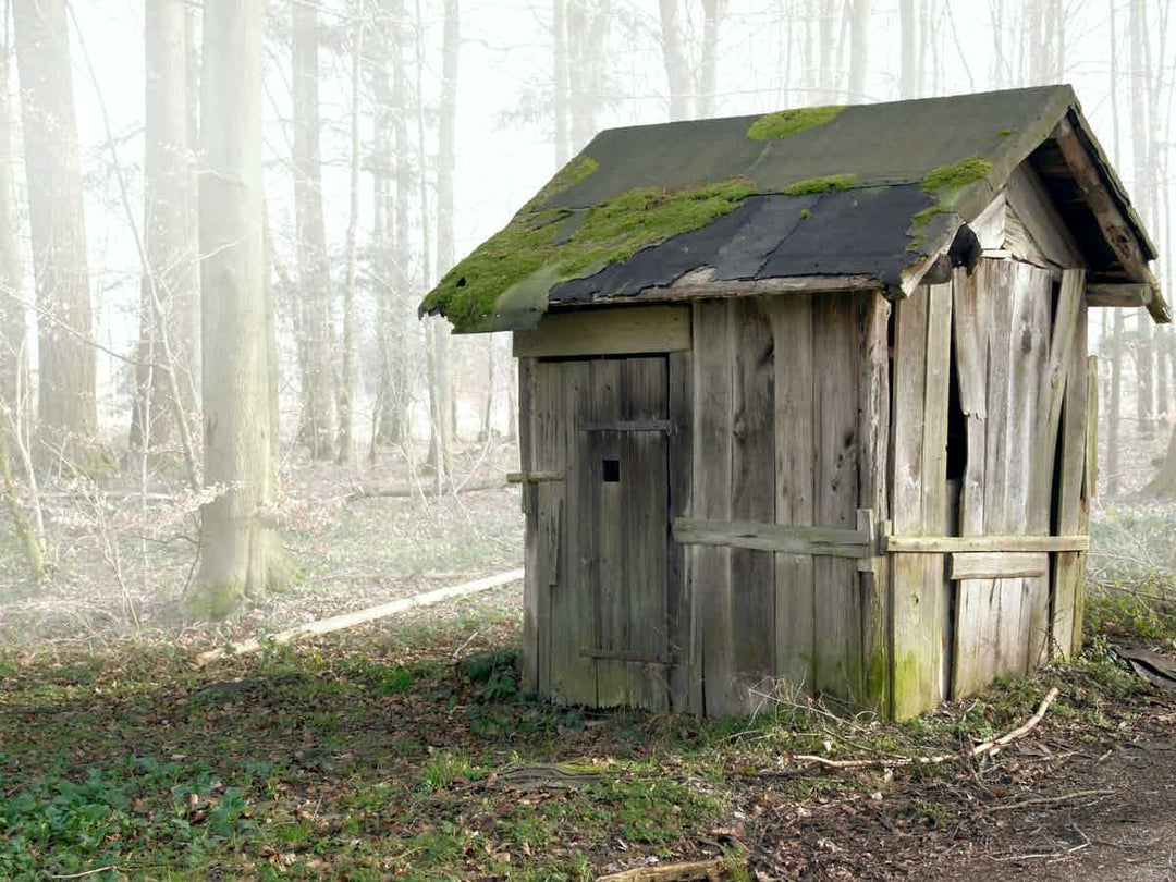 Dilapidated old shed in wood