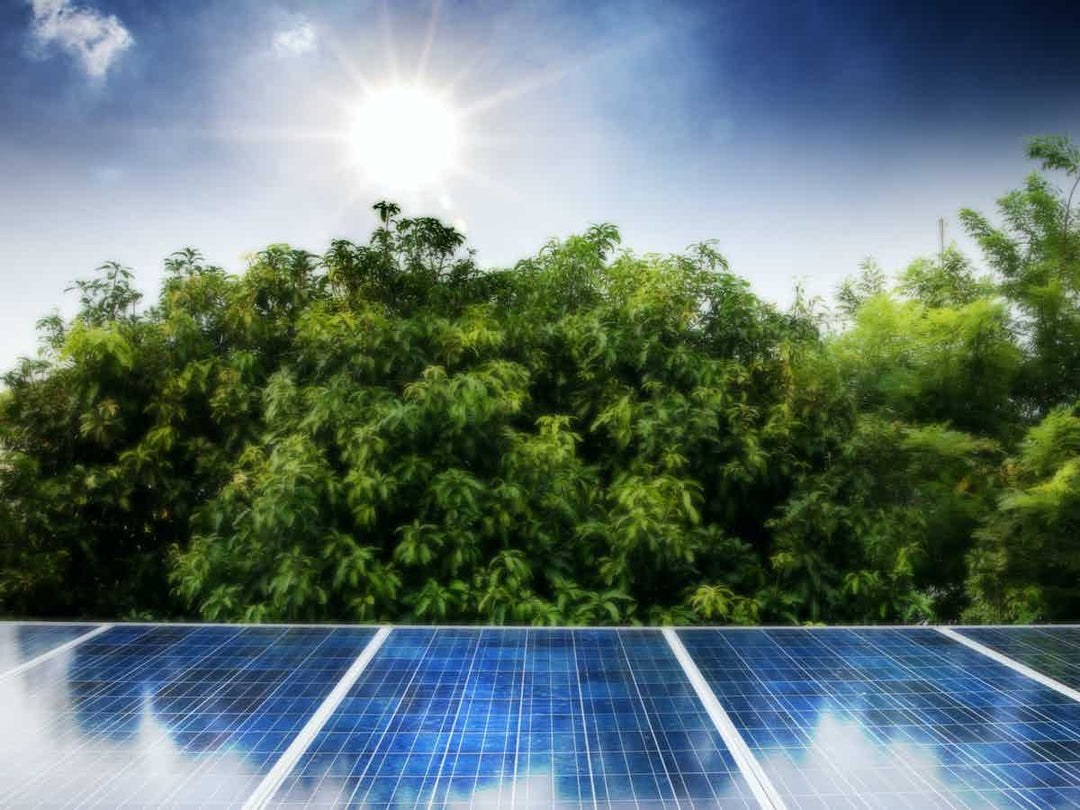 Solar panel in front of trees with sun shining on it